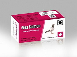 سيناسالمون 