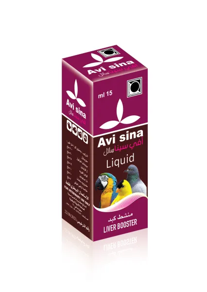 Avi sina