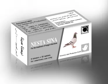 Nesta Sina