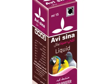 Avi sina